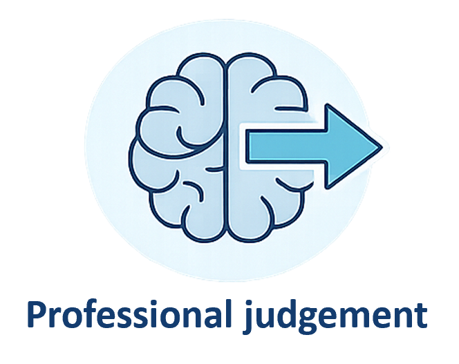 Professional Judgment